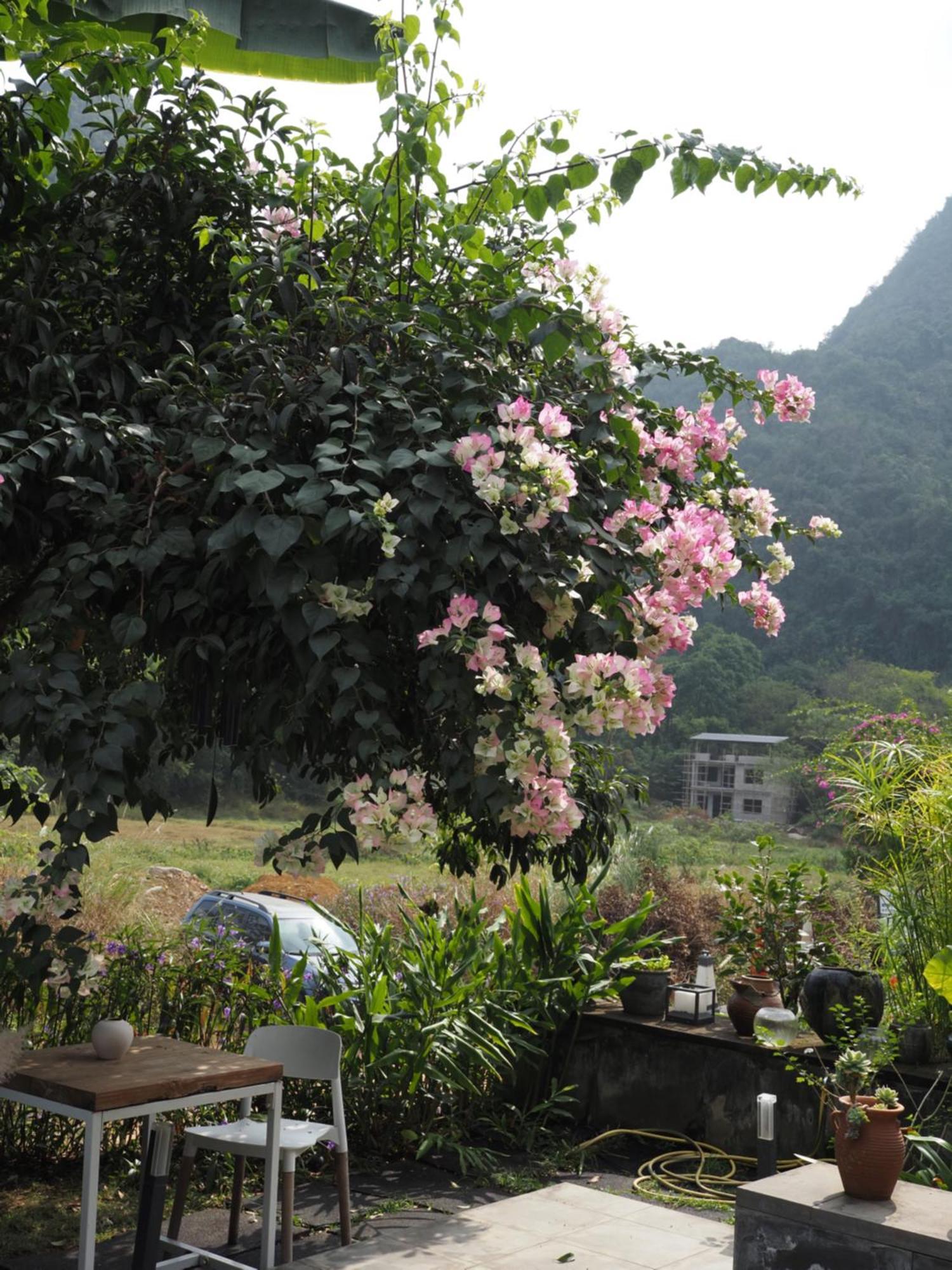 Yangshuo Hillside Homestay Bagian luar foto
