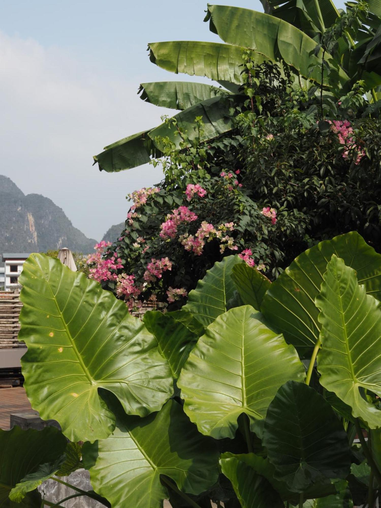 Yangshuo Hillside Homestay Bagian luar foto