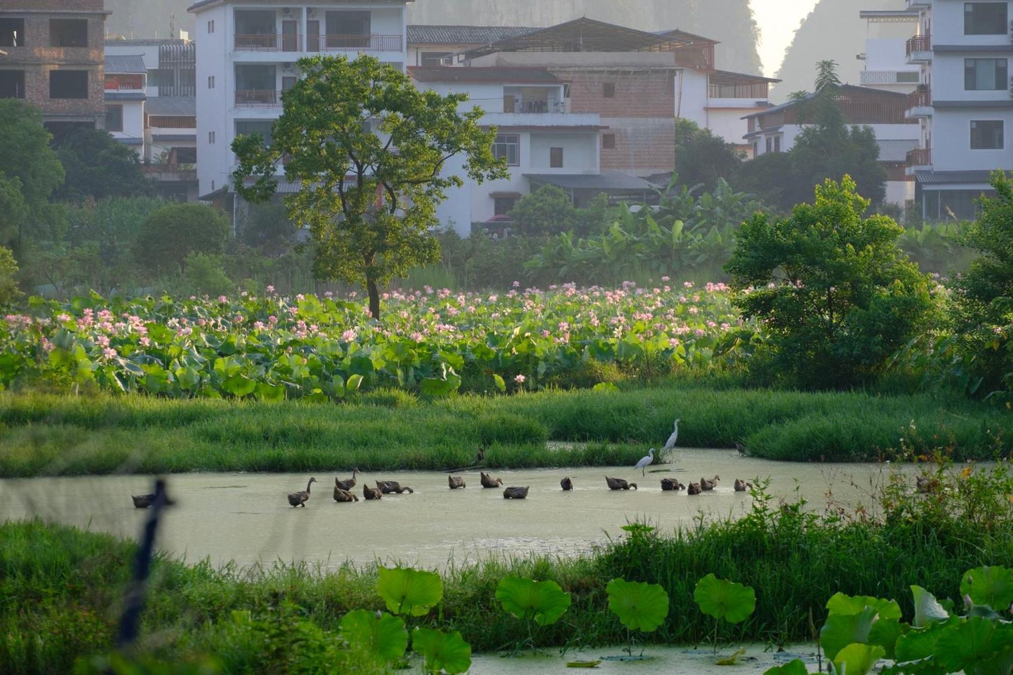 Yangshuo Hillside Homestay Bagian luar foto
