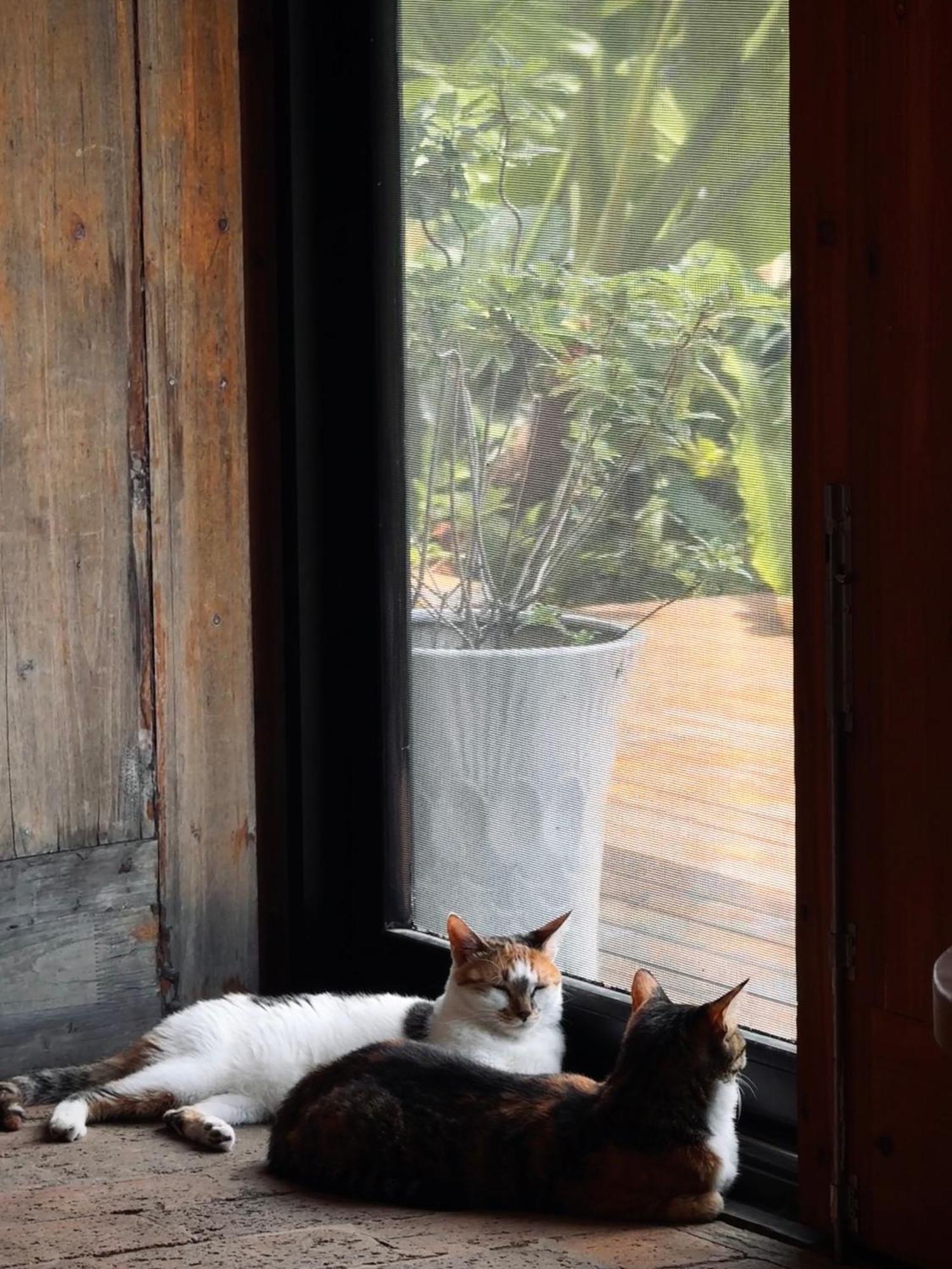 Yangshuo Hillside Homestay Bagian luar foto