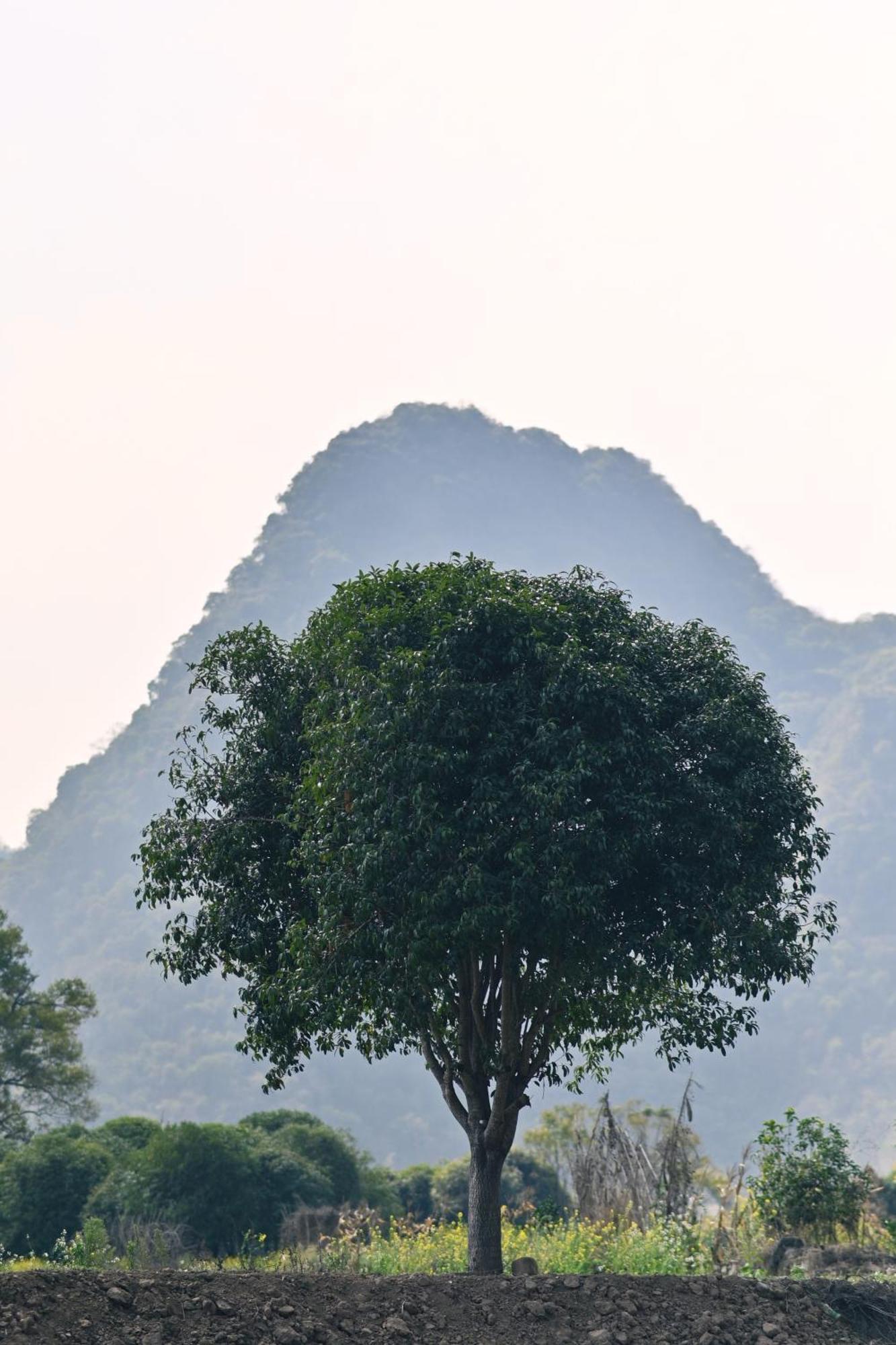Yangshuo Hillside Homestay Bagian luar foto