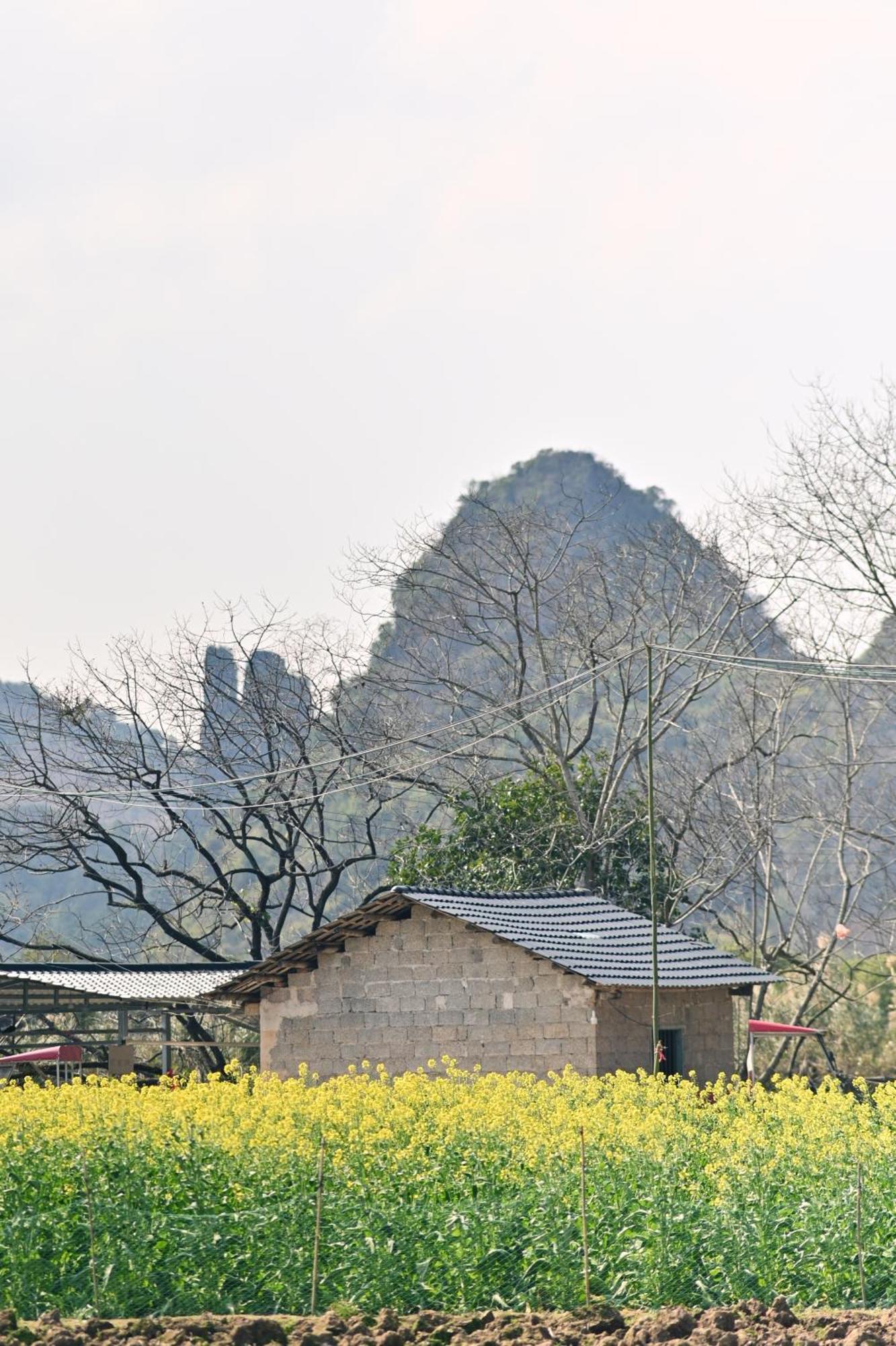 Yangshuo Hillside Homestay Bagian luar foto